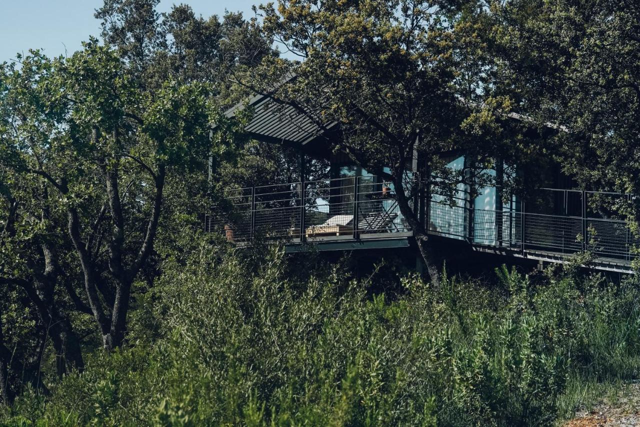 Domaine Monte Verdi Flayosc Exteriör bild
