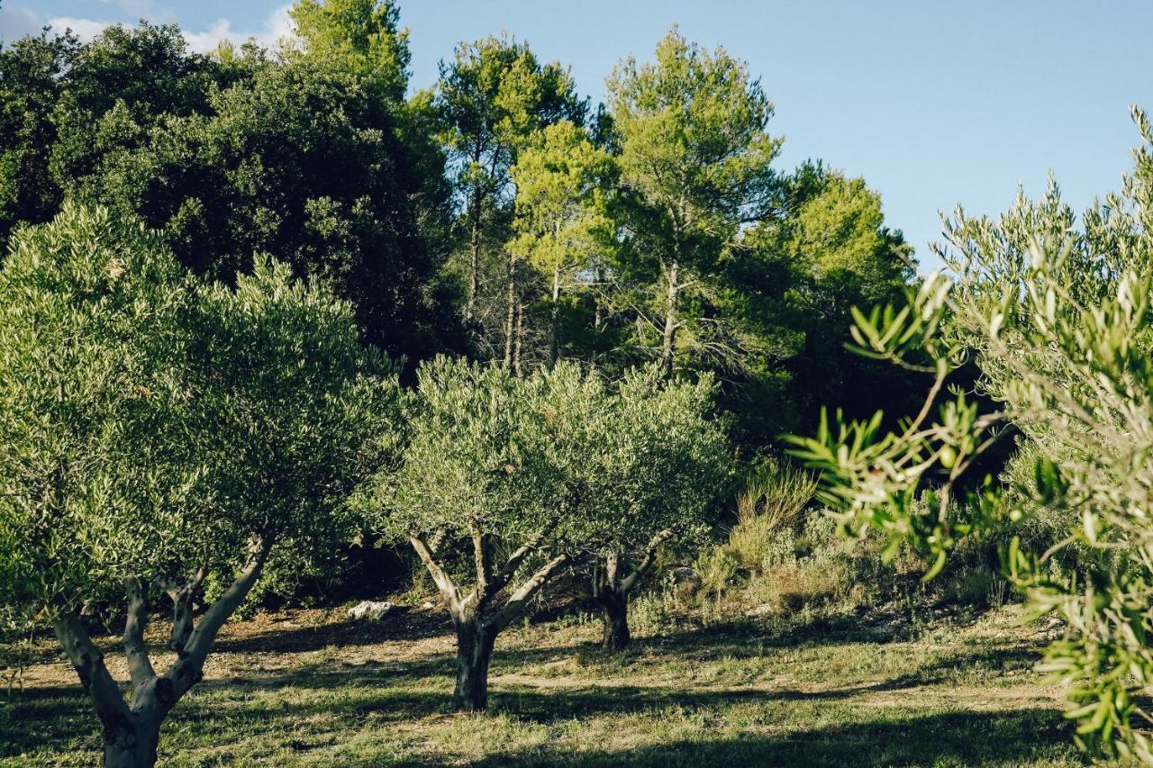 Domaine Monte Verdi Flayosc Exteriör bild