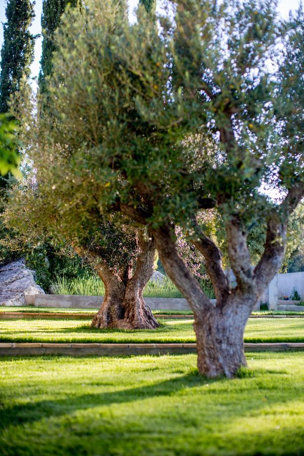 Domaine Monte Verdi Flayosc Exteriör bild